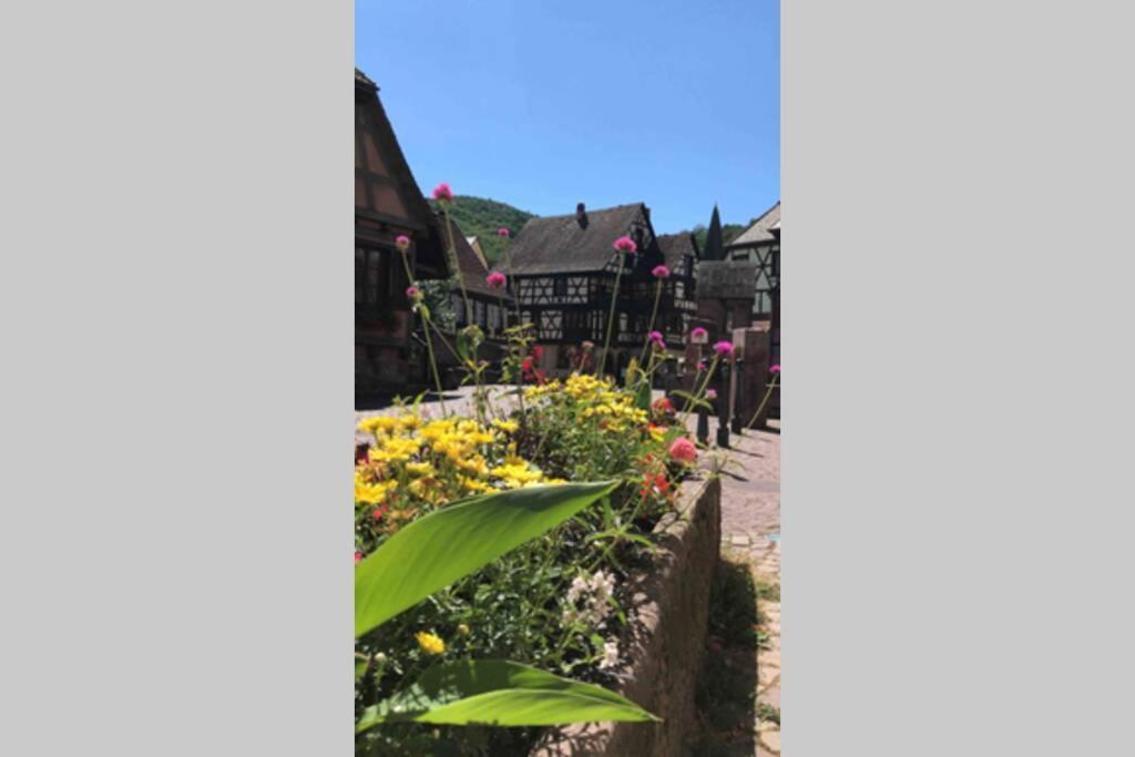 Coeur Alsace Lägenhet Colmar Exteriör bild