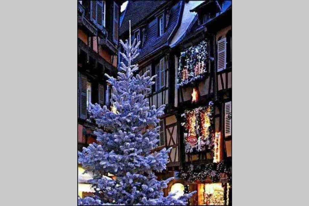 Coeur Alsace Lägenhet Colmar Exteriör bild