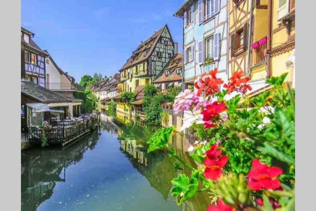 Coeur Alsace Lägenhet Colmar Exteriör bild