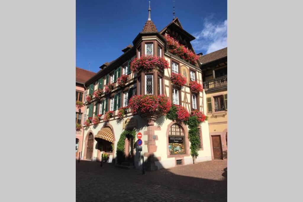 Coeur Alsace Lägenhet Colmar Exteriör bild