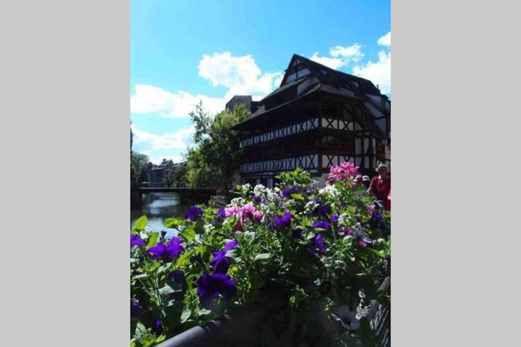 Coeur Alsace Lägenhet Colmar Exteriör bild