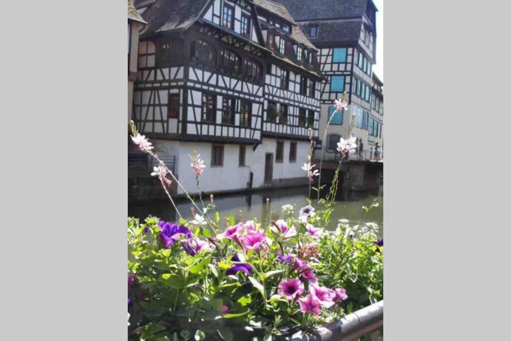 Coeur Alsace Lägenhet Colmar Exteriör bild